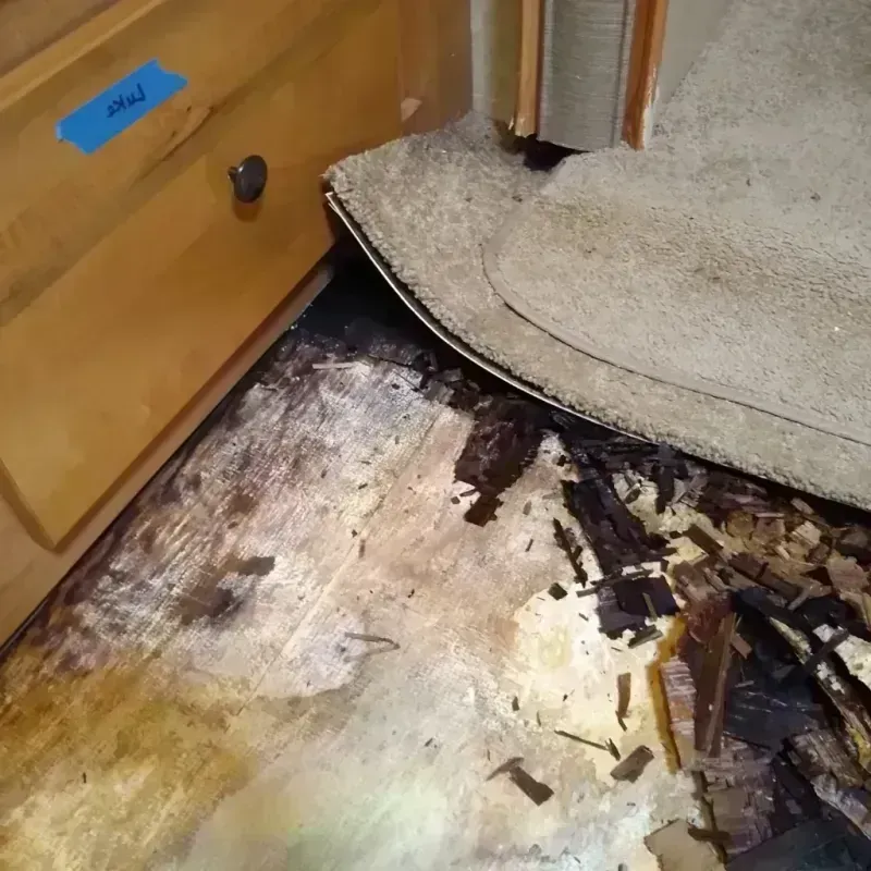 Best Wood Floor Water Damage Service in Park Hill, OK